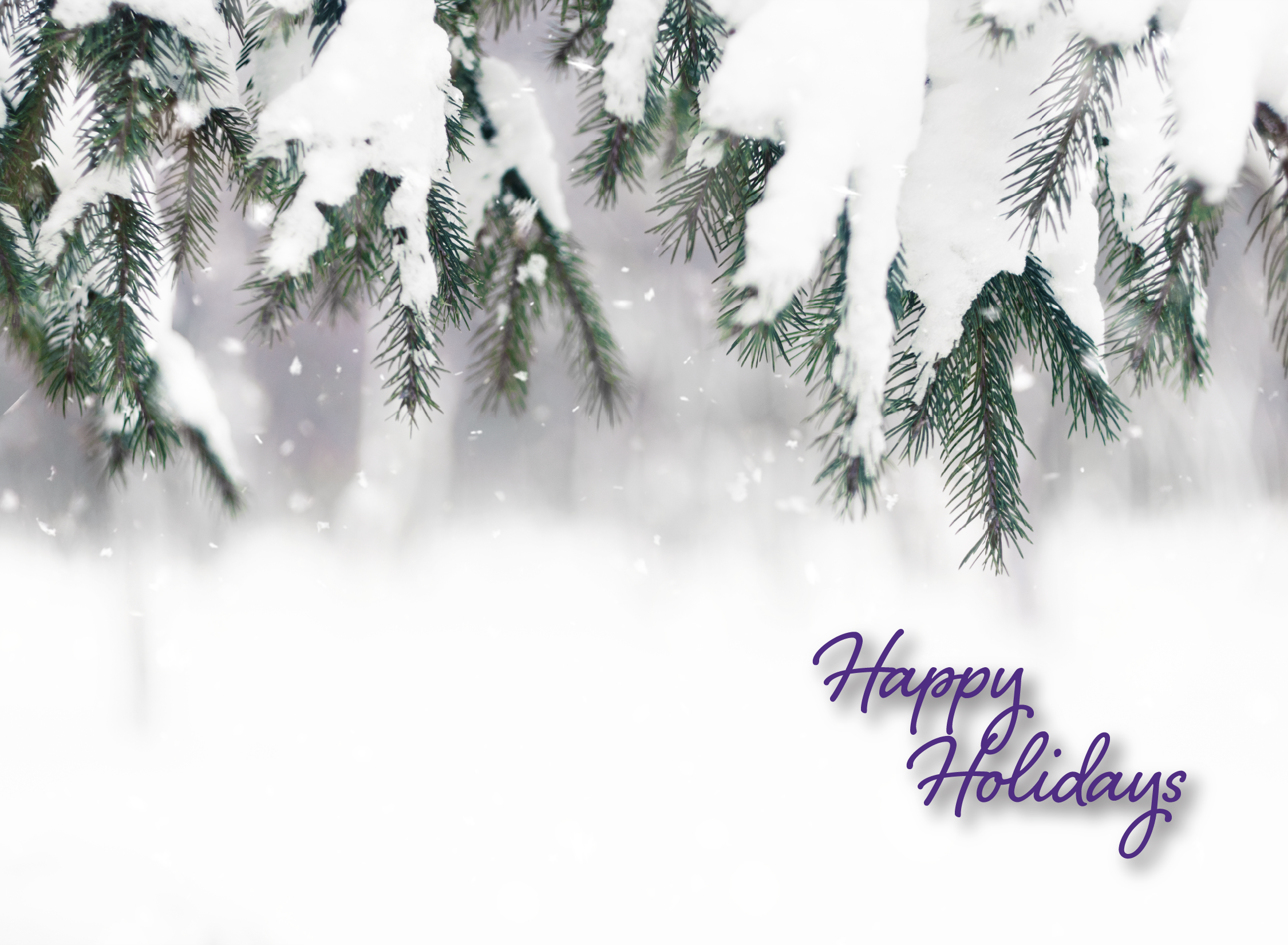 holidayCardDesign1